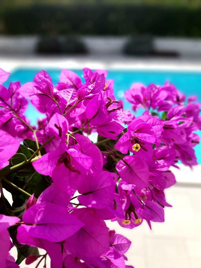 Holiday Home Villa Emma Debeljak Esterno foto