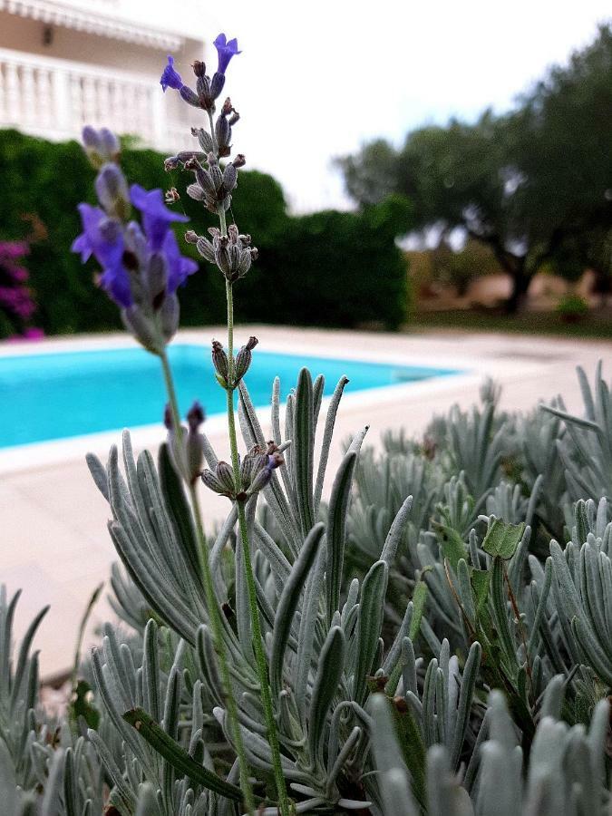 Holiday Home Villa Emma Debeljak Esterno foto